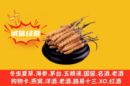 淮南市回收冬虫夏草